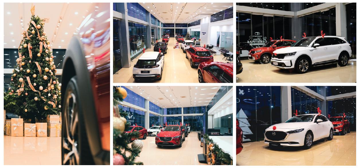 bmw quang binh